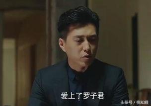 我的前半生36在线观看,情感纠葛与人生抉择  第2张